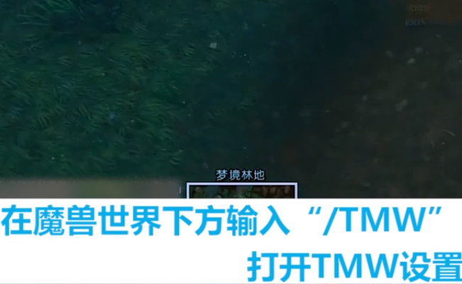 魔兽世界tmw字符串怎么用？