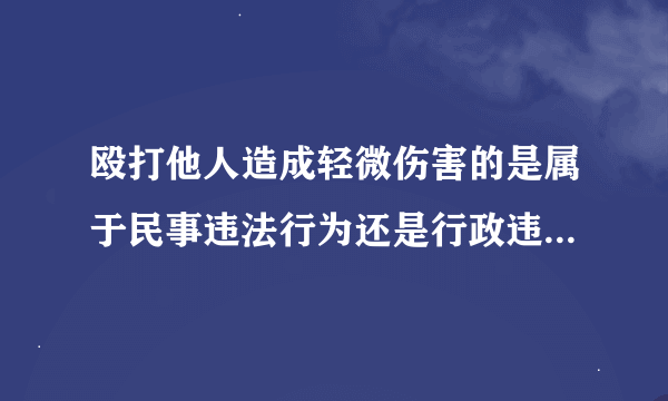 殴打他人造成轻微伤害的是属于民事违法行为还是行政违法行为？