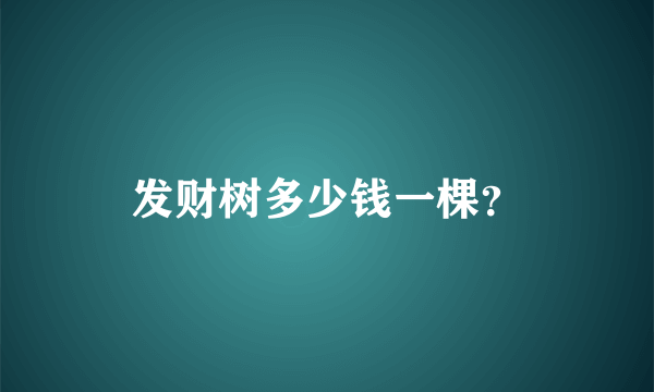 发财树多少钱一棵？