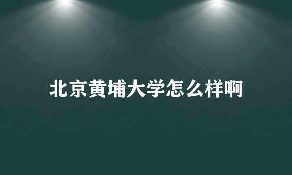 北京黄埔大学怎么样啊