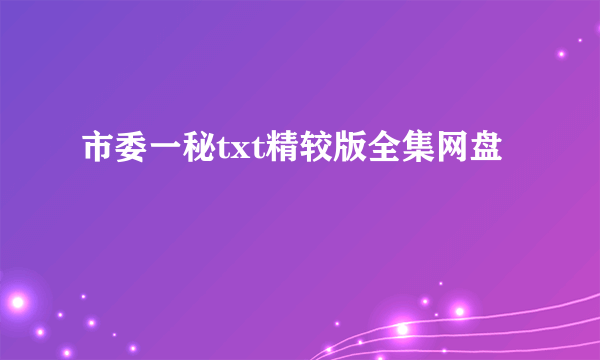 市委一秘txt精较版全集网盘