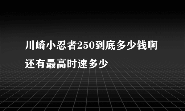 川崎小忍者250到底多少钱啊 还有最高时速多少