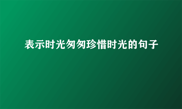 表示时光匆匆珍惜时光的句子