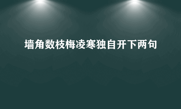 墙角数枝梅凌寒独自开下两句