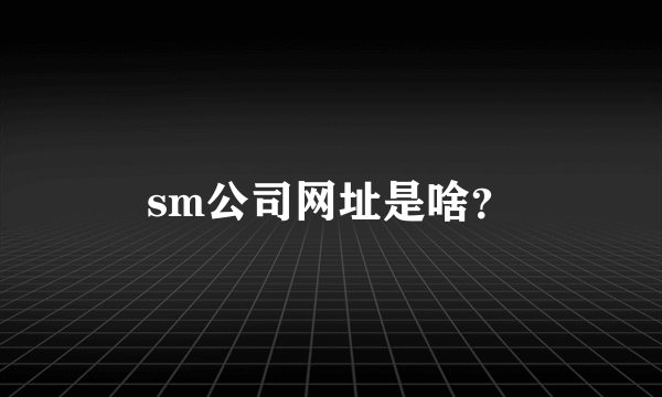 sm公司网址是啥？