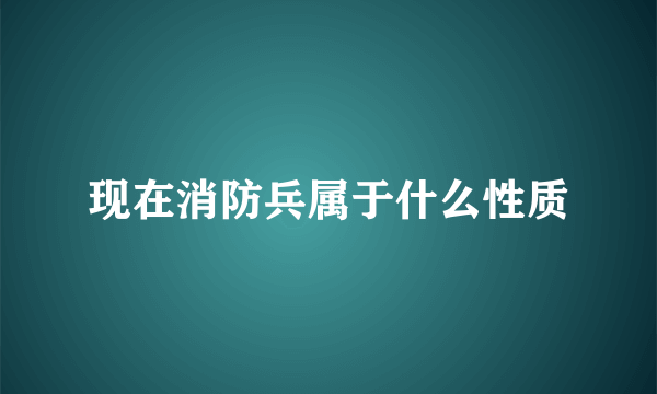 现在消防兵属于什么性质