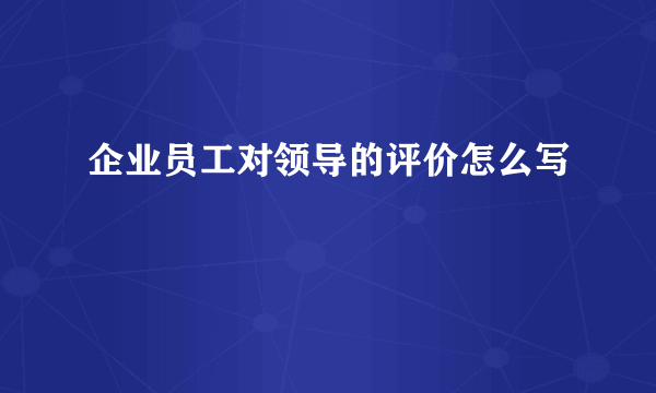 企业员工对领导的评价怎么写