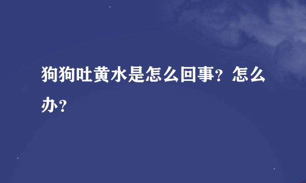 狗狗吐黄水是怎么回事？怎么办？