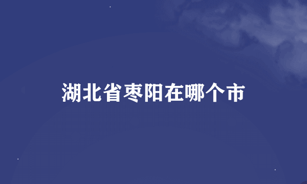 湖北省枣阳在哪个市