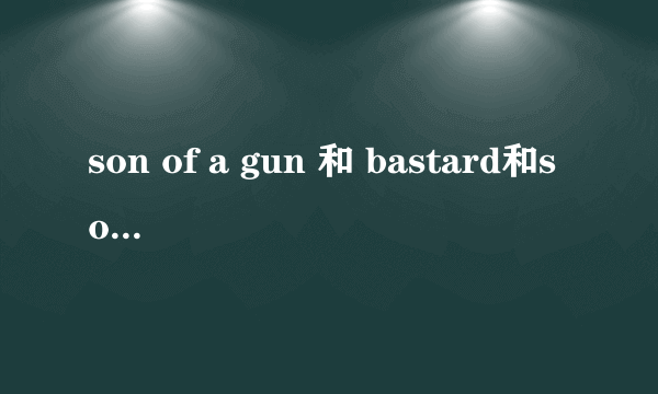 son of a gun 和 bastard和son of a bitch 有什么区别