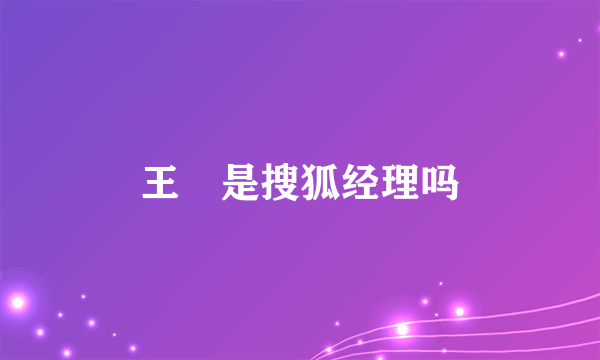 王璟是搜狐经理吗