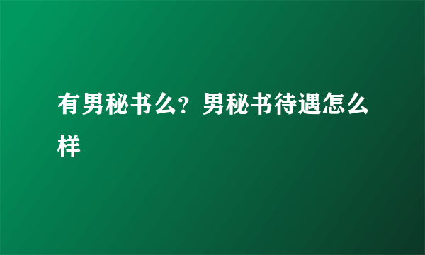 有男秘书么？男秘书待遇怎么样