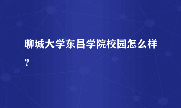 聊城大学东昌学院校园怎么样？