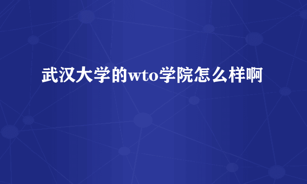 武汉大学的wto学院怎么样啊