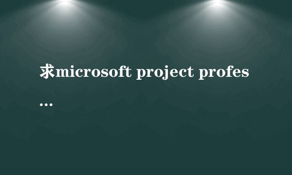 求microsoft project professional 2010密钥，在线等