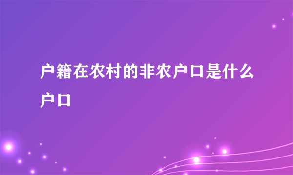 户籍在农村的非农户口是什么户口