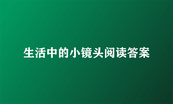 生活中的小镜头阅读答案