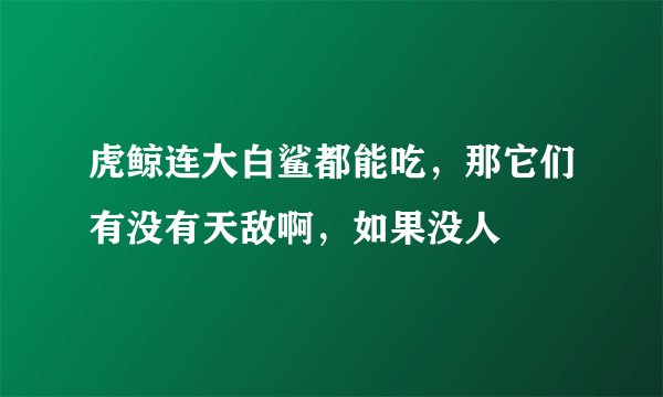 虎鲸连大白鲨都能吃，那它们有没有天敌啊，如果没人