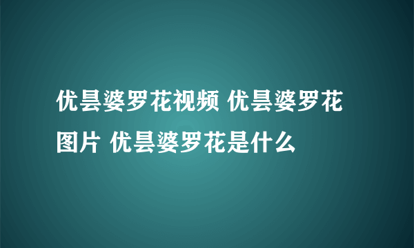 优昙婆罗花视频 优昙婆罗花图片 优昙婆罗花是什么