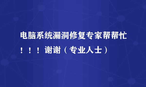 电脑系统漏洞修复专家帮帮忙！！！谢谢（专业人士）