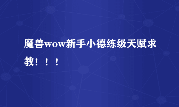 魔兽wow新手小德练级天赋求教！！！