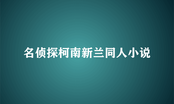 名侦探柯南新兰同人小说