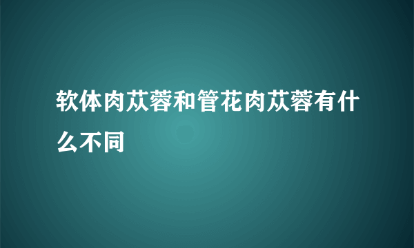 软体肉苁蓉和管花肉苁蓉有什么不同