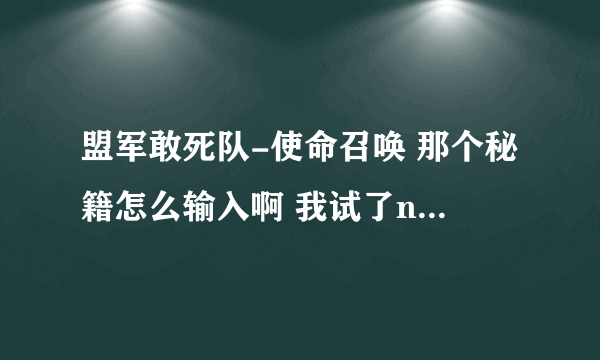 盟军敢死队-使命召唤 那个秘籍怎么输入啊 我试了n次 都不行 高手指教