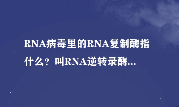 RNA病毒里的RNA复制酶指什么？叫RNA逆转录酶吗？还是叫逆转录酶？DNA复制酶呢？指的是DNA解旋酶和DNA聚...