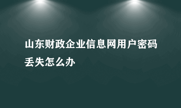 山东财政企业信息网用户密码丢失怎么办