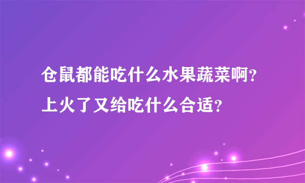 仓鼠都能吃什么水果蔬菜啊？上火了又给吃什么合适？