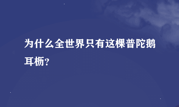 为什么全世界只有这棵普陀鹅耳枥？