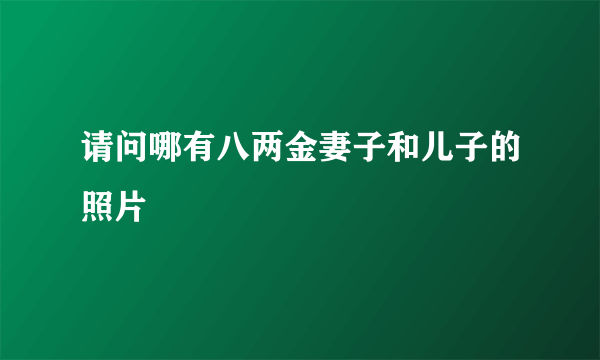 请问哪有八两金妻子和儿子的照片